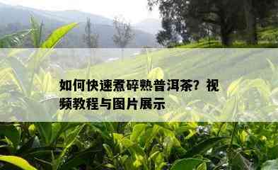 如何快速煮碎熟普洱茶？视频教程与图片展示