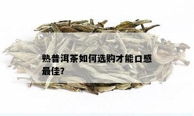 熟普洱茶如何选购才能口感更佳？