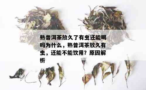 熟普洱茶放久了有虫还能喝吗为什么，熟普洱茶放久有虫，还能不能饮用？原因解析