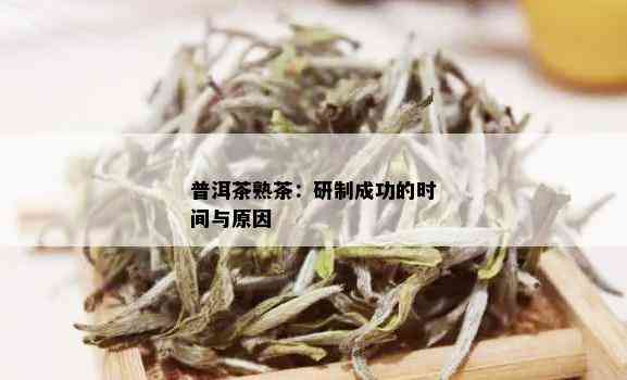 普洱茶熟茶：研制成功的时间与原因