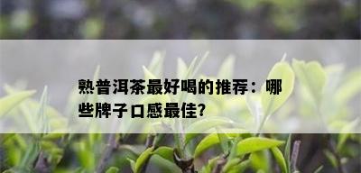 熟普洱茶更好喝的推荐：哪些牌子口感更佳？