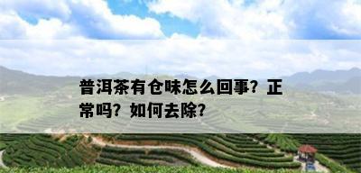 普洱茶有仓味怎么回事？正常吗？如何去除？