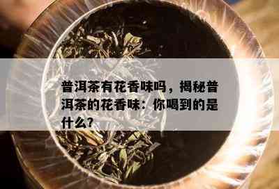 普洱茶有花香味吗，揭秘普洱茶的花香味：你喝到的是什么？