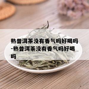 熟普洱茶没有香气吗好喝吗-熟普洱茶没有香气吗好喝吗