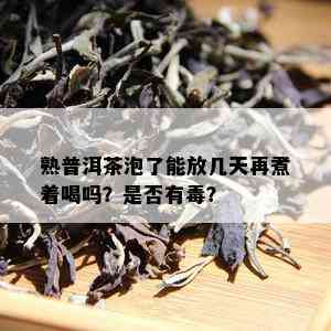 熟普洱茶泡了能放几天再煮着喝吗？是否有？