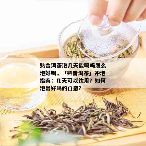 熟普洱茶泡几天能喝吗怎么泡好喝，「熟普洱茶」冲泡指南：几天可以饮用？如何泡出好喝的口感？