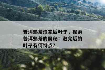 普洱熟茶泡完后叶子，探索普洱熟茶的奥秘：泡完后的叶子有何特点？