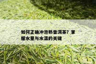 如何正确冲泡熟普洱茶？掌握水量与水温的关键