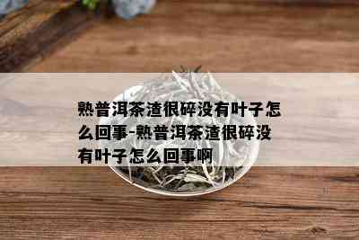 熟普洱茶渣很碎没有叶子怎么回事-熟普洱茶渣很碎没有叶子怎么回事啊