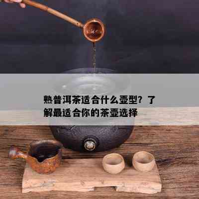 熟普洱茶适合什么壶型？了解最适合你的茶壶选择