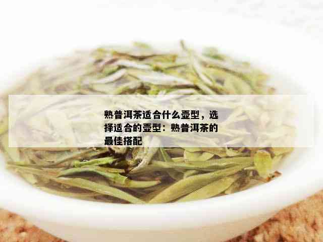 熟普洱茶适合什么壶型，选择适合的壶型：熟普洱茶的更佳搭配