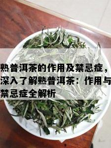 熟普洱茶的作用及禁忌症，深入了解熟普洱茶：作用与禁忌症全解析