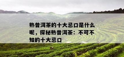 熟普洱茶的十大忌口是什么呢，探秘熟普洱茶：不可不知的十大忌口