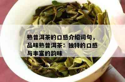 熟普洱茶的口感介绍词句，品味熟普洱茶：独特的口感与丰富的韵味