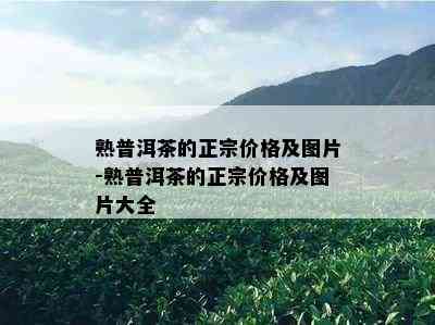 熟普洱茶的正宗价格及图片-熟普洱茶的正宗价格及图片大全