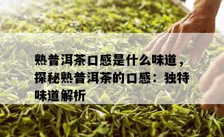 熟普洱茶口感是什么味道，探秘熟普洱茶的口感：独特味道解析