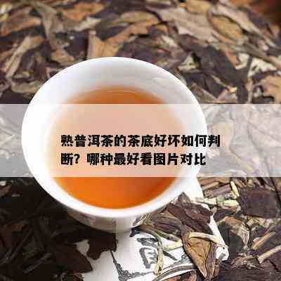 熟普洱茶的茶底好坏如何判断？哪种更好看图片对比