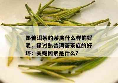 熟普洱茶的茶底什么样的好呢，探讨熟普洱茶茶底的好坏：关键因素是什么？