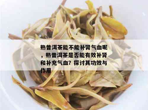 熟普洱茶能不能补肾气血呢，熟普洱茶是否能有效补肾和补充气血？探讨其功效与作用