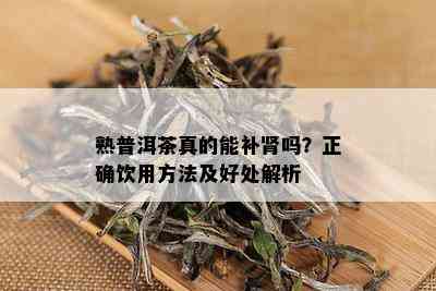 熟普洱茶真的能补肾吗？正确饮用方法及好处解析