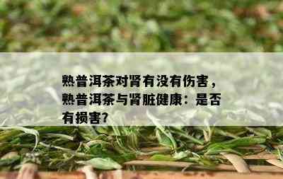 熟普洱茶对肾有没有伤害，熟普洱茶与肾脏健康：是否有损害？