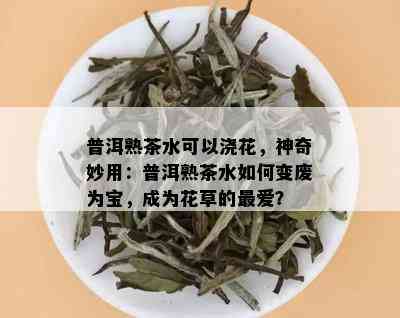 普洱熟茶水可以浇花，神奇妙用：普洱熟茶水如何变废为宝，成为花草的更爱？