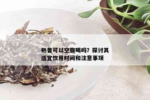 熟普可以空腹喝吗？探讨其适宜饮用时间和注意事项