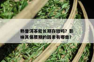 熟普洱茶能长期存放吗？影响其保质期的因素有哪些？