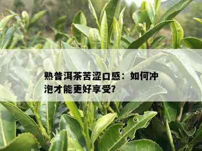 熟普洱茶苦涩口感：如何冲泡才能更好享受？