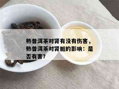 熟普洱茶对肾有没有伤害，熟普洱茶对肾脏的影响：是否有害？