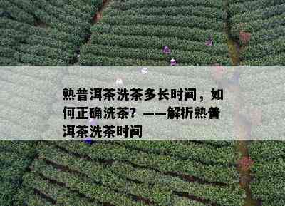 熟普洱茶洗茶多长时间，如何正确洗茶？——解析熟普洱茶洗茶时间