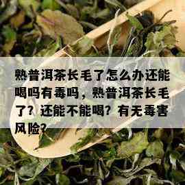 熟普洱茶长毛了怎么办还能喝吗有吗，熟普洱茶长毛了？还能不能喝？有无害风险？