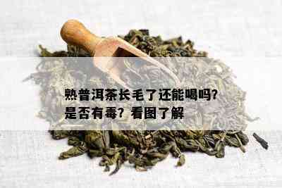 熟普洱茶长毛了还能喝吗？是否有？看图了解