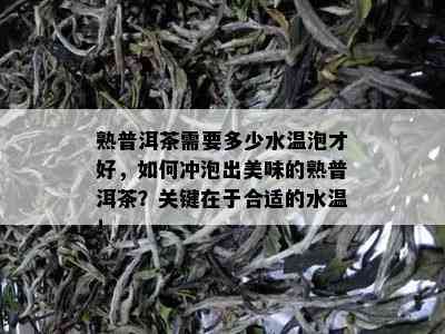 熟普洱茶需要多少水温泡才好，如何冲泡出美味的熟普洱茶？关键在于合适的水温！