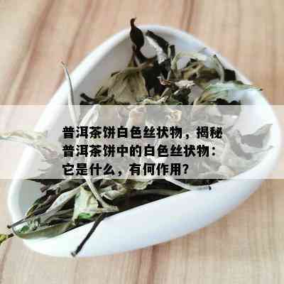 普洱茶饼白色丝状物，揭秘普洱茶饼中的白色丝状物：它是什么，有何作用？