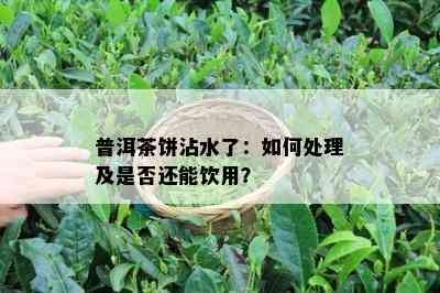 普洱茶饼沾水了：如何处理及是否还能饮用？