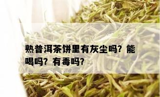 熟普洱茶饼里有灰尘吗？能喝吗？有吗？