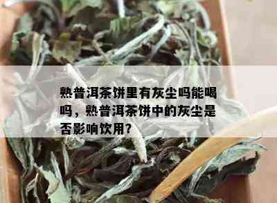 熟普洱茶饼里有灰尘吗能喝吗，熟普洱茶饼中的灰尘是否影响饮用？