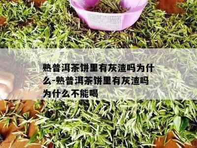 熟普洱茶饼里有灰渣吗为什么-熟普洱茶饼里有灰渣吗为什么不能喝