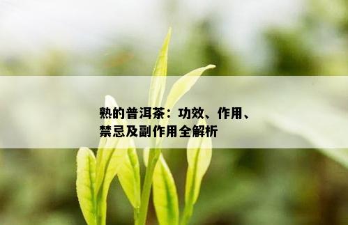 熟的普洱茶：功效、作用、禁忌及副作用全解析