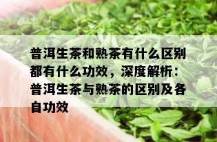 普洱生茶和熟茶有什么区别都有什么功效，深度解析：普洱生茶与熟茶的区别及各自功效