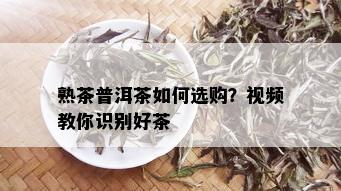 熟茶普洱茶如何选购？视频教你识别好茶