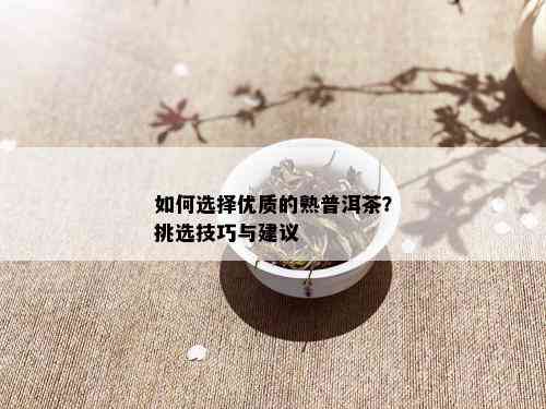 如何选择优质的熟普洱茶？挑选技巧与建议