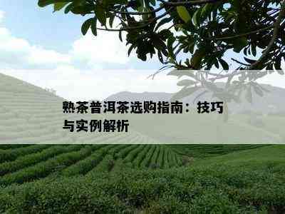 熟茶普洱茶选购指南：技巧与实例解析