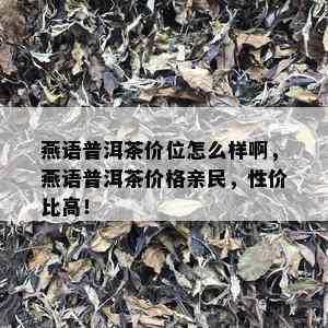 燕语普洱茶价位怎么样啊，燕语普洱茶价格亲民，性价比高！