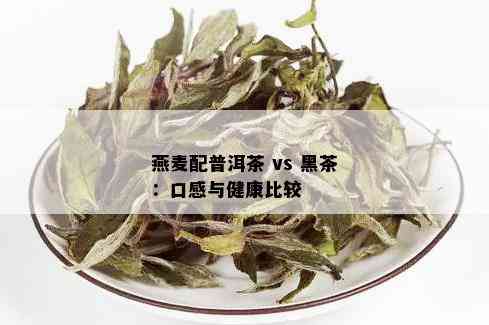 燕麦配普洱茶 vs 黑茶：口感与健康比较