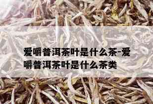 爱嚼普洱茶叶是什么茶-爱嚼普洱茶叶是什么茶类