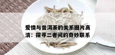 爱情与普洱茶的关系图片高清：探寻二者间的奇妙联系