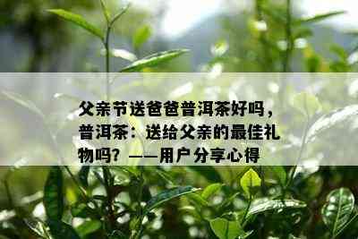 父亲节送爸爸普洱茶好吗，普洱茶：送给父亲的更佳礼物吗？——用户分享心得