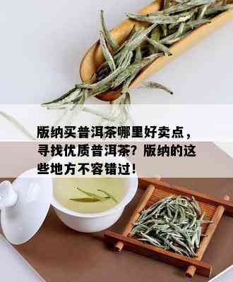 版纳买普洱茶哪里好卖点，寻找优质普洱茶？版纳的这些地方不容错过！